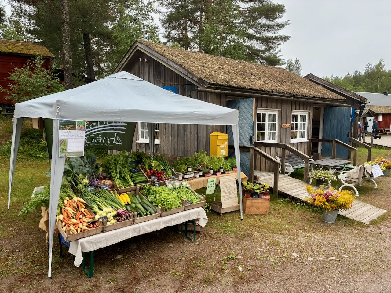 Knotebo Gård på Brunskogs Gammelvala