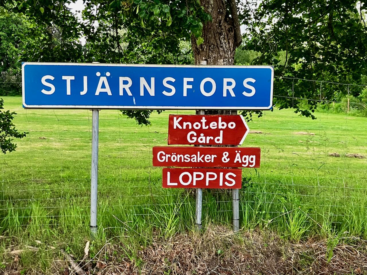Färska grönsaker och ägg i gårdsbutiken
